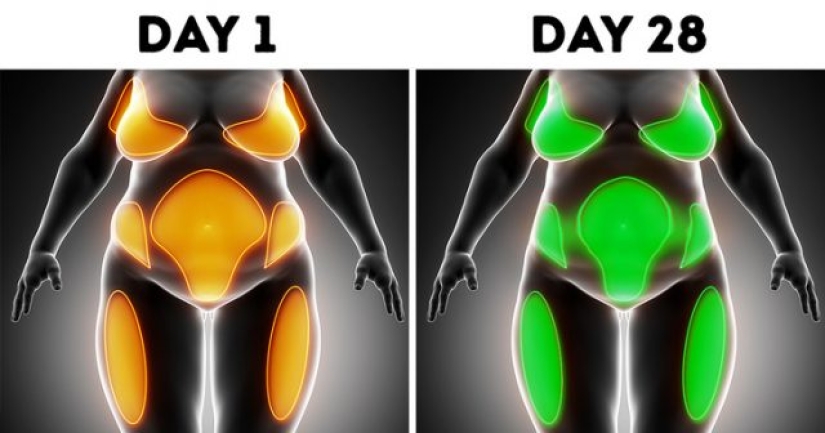 ¿Qué le sucede a su cuerpo cuando no bebe alcohol?