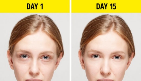 ¿Qué le sucede a su cuerpo cuando no bebe alcohol? ¿Qué le sucede a su cuerpo cuando no bebe alcohol?