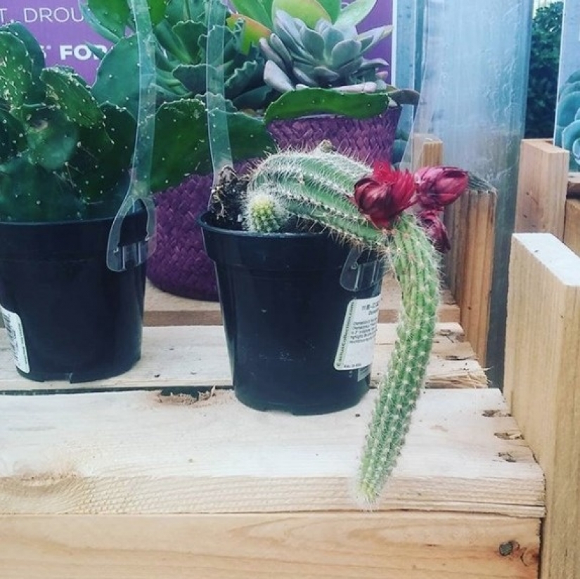 ¿Qué le sucede al cuerpo con la abstinencia prolongada? ¿Qué le sucede al cuerpo con la abstinencia prolongada?