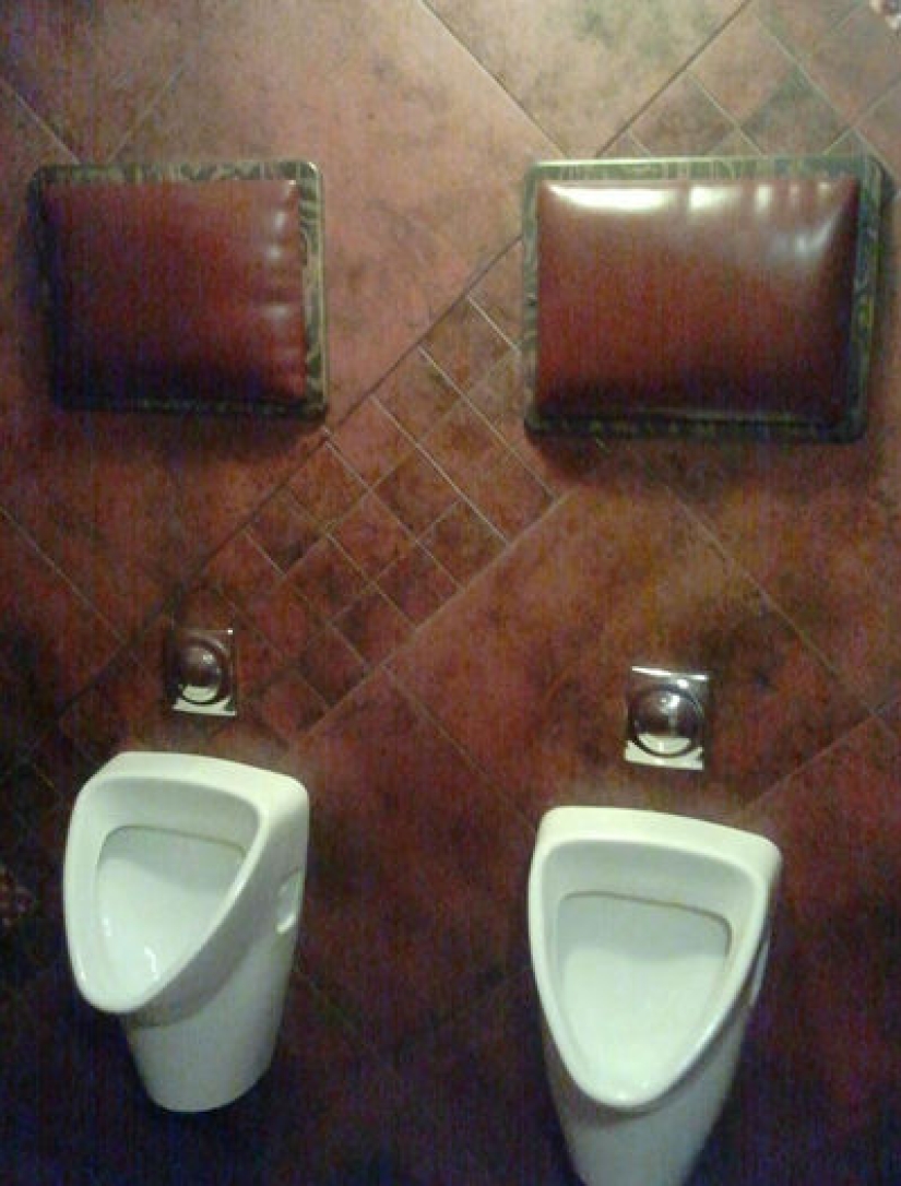 Qué sucede cuando el inodoro en la casa está diseñado por la esposa