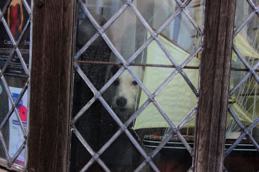 ¿Quieres pasar la noche en la casa de Harry Potter? Airbnb para ayudar!