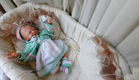 Reborn babies - like living children Reborn babies - like living children