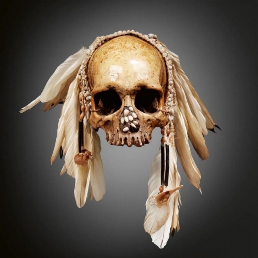 Recuento de hueso? En el mercado negro Instagram aparecido restos humanos Recuento de hueso? En el mercado negro Instagram aparecido restos humanos