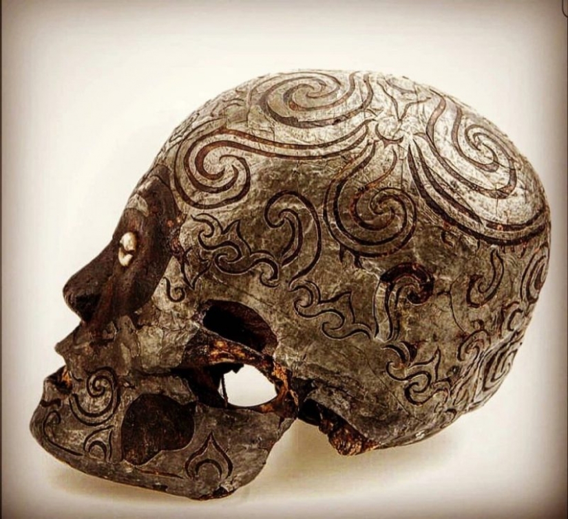 Recuento de hueso? En el mercado negro Instagram aparecido restos humanos Recuento de hueso? En el mercado negro Instagram aparecido restos humanos