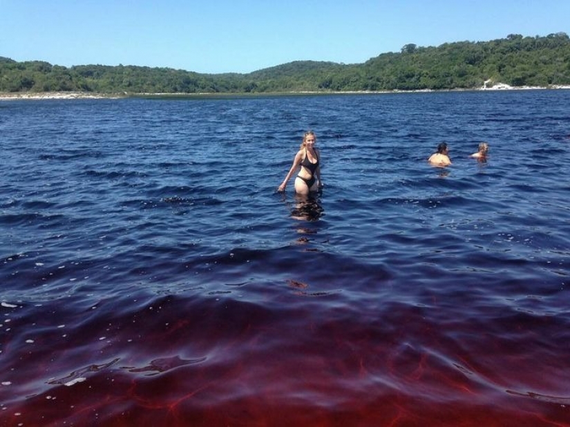 Refresh yourself! Unusual Coca-Cola lake in Brazil attracts tourists from all over the world Refresh yourself! Unusual Coca-Cola lake in Brazil attracts tourists from all over the world
