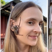 Relax is not for the faint of heart: Australian relieves stress, allowing the spiders to crawl on the face
