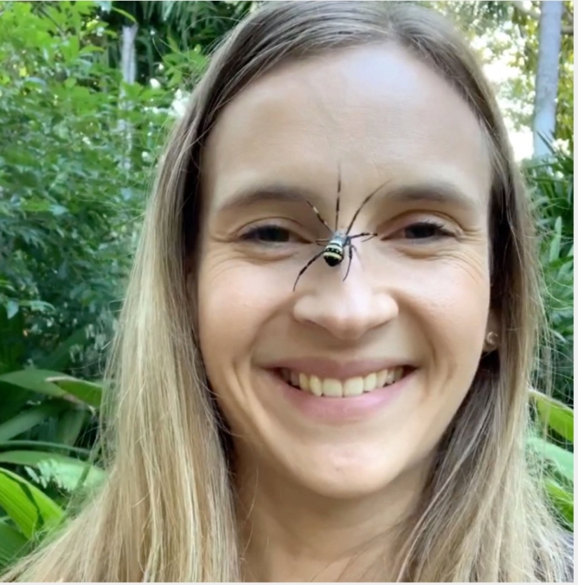 Relax is not for the faint of heart: Australian relieves stress, allowing the spiders to crawl on the face Relax is not for the faint of heart: Australian relieves stress, allowing the spiders to crawl on the face