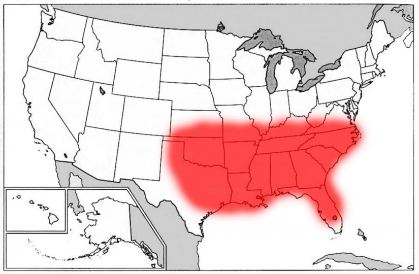 Residents of the most religious states of the United States watch porn the most