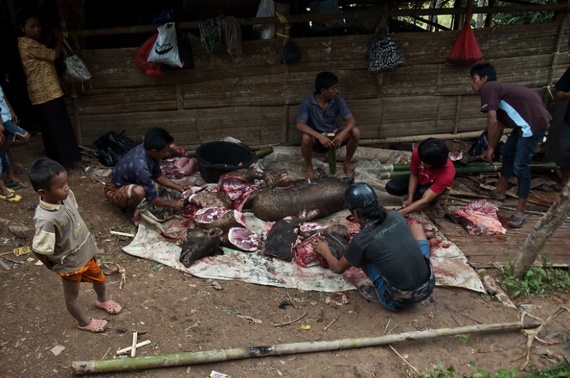 Rituales funerarios inusuales en Indonesia