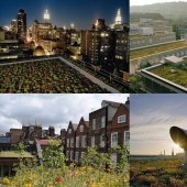Roof gardens