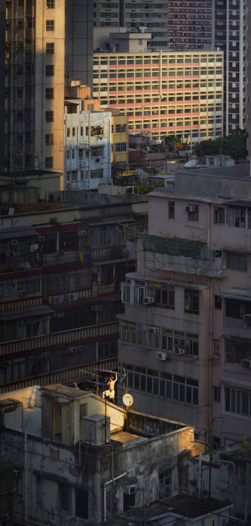 Rooftops of hong kong
