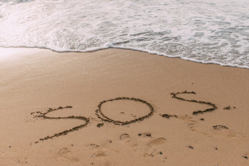 Save our souls: sailors on a desert island were found thanks to the SOS inscription Save our souls: sailors on a desert island were found thanks to the SOS inscription