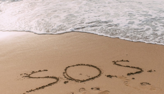 Save our souls: sailors on a desert island were found thanks to the SOS inscription