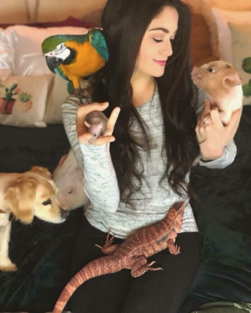 Saves cows, llamas and snakes: American had arranged a shelter for 200 animals