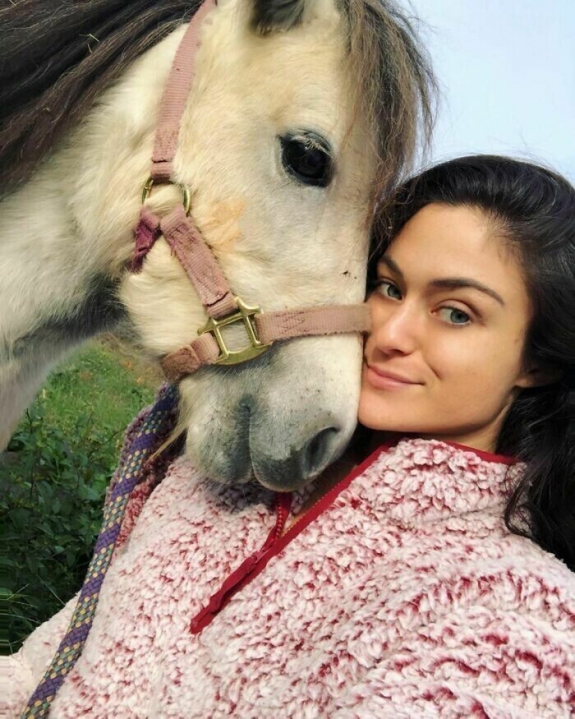 Saves cows, llamas and snakes: American had arranged a shelter for 200 animals