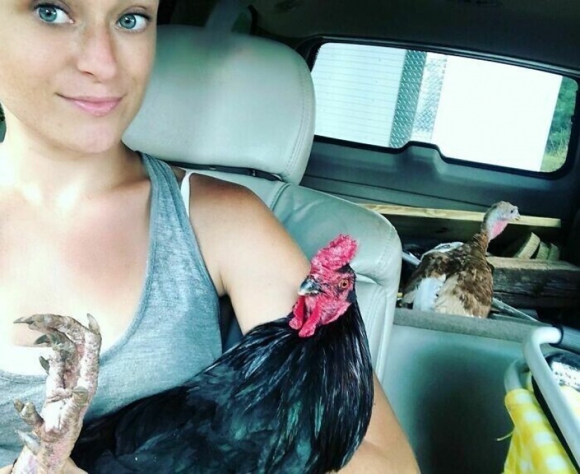 Saves cows, llamas and snakes: American had arranged a shelter for 200 animals