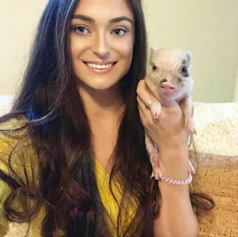 Saves cows, llamas and snakes: American had arranged a shelter for 200 animals