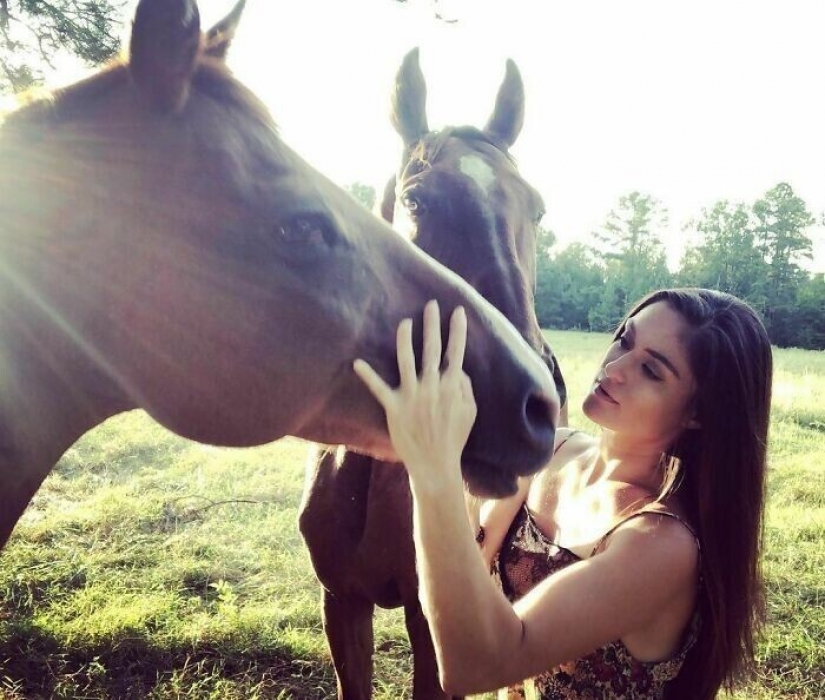 Saves cows, llamas and snakes: American had arranged a shelter for 200 animals