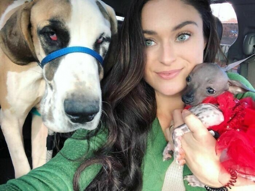 Saves cows, llamas and snakes: American had arranged a shelter for 200 animals