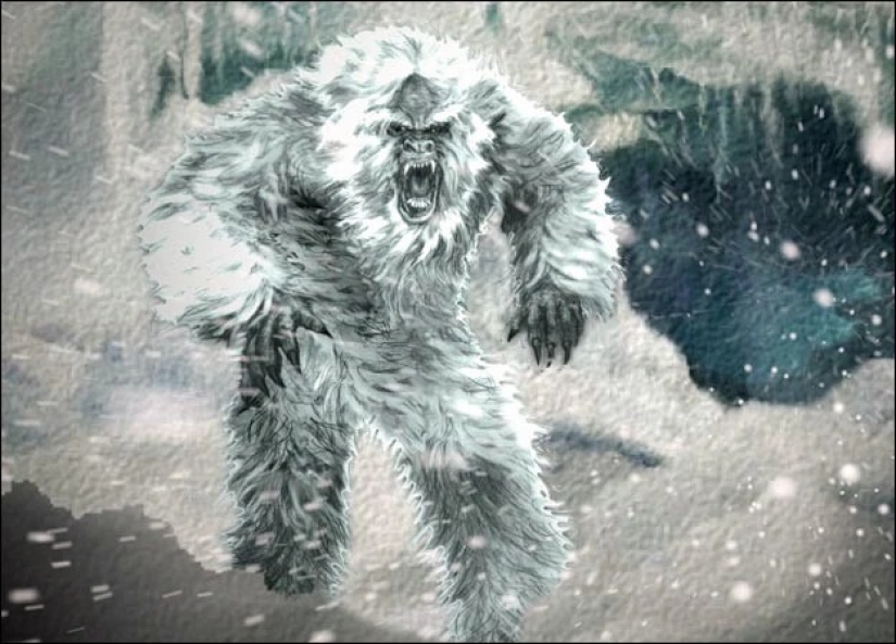 ¿Se ha resuelto el misterio de Bigfoot? Se han encontrado posibles ancestros del Yeti