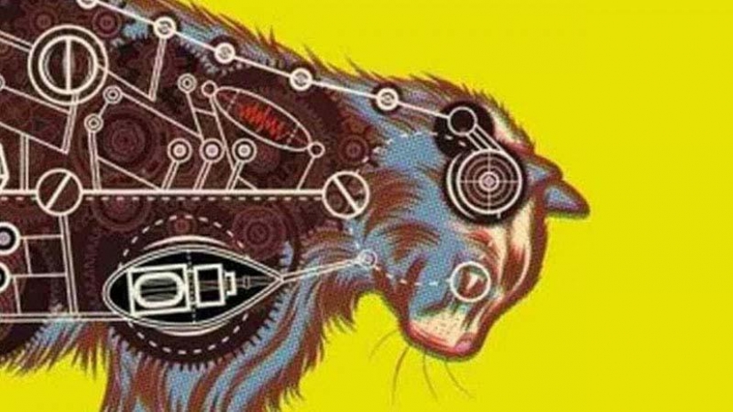 Servicio de gatos Servicio de gatos