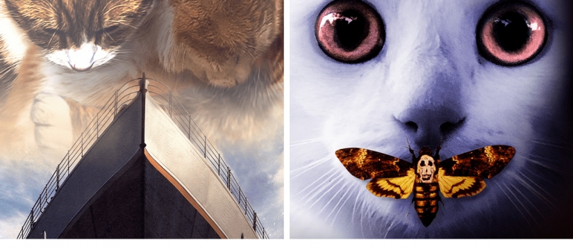 Si los perros y los gatos jugaran en los éxitos de taquilla