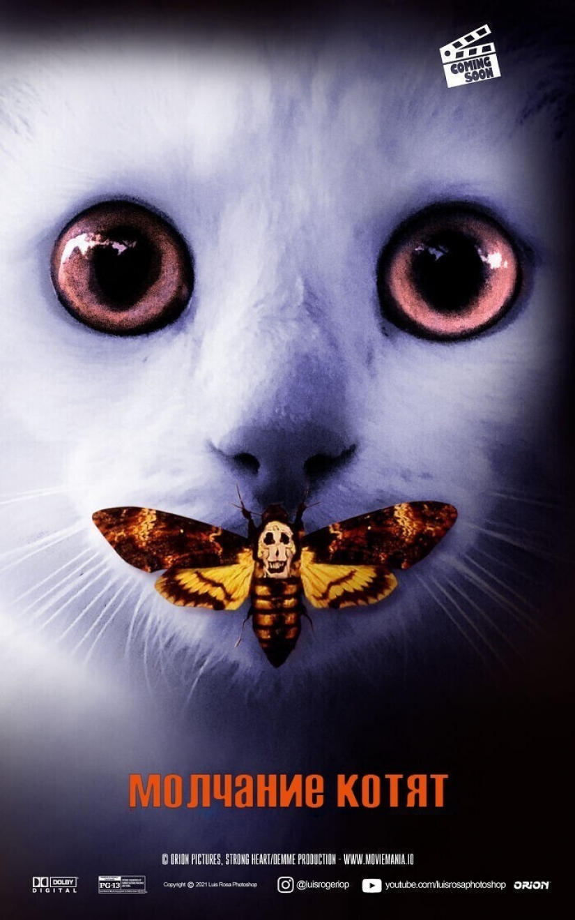 Si los perros y los gatos jugaran en los éxitos de taquilla