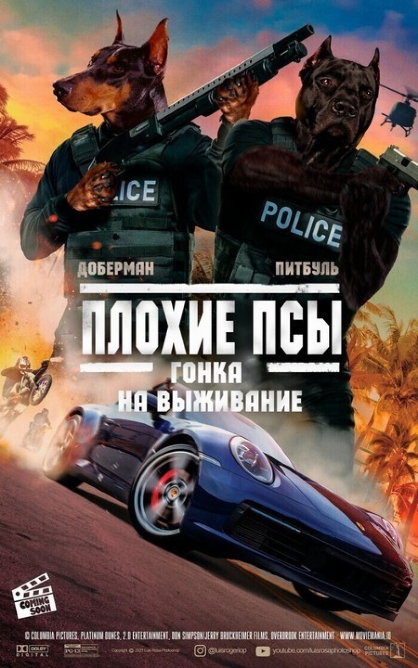 Si los perros y los gatos jugaran en los éxitos de taquilla