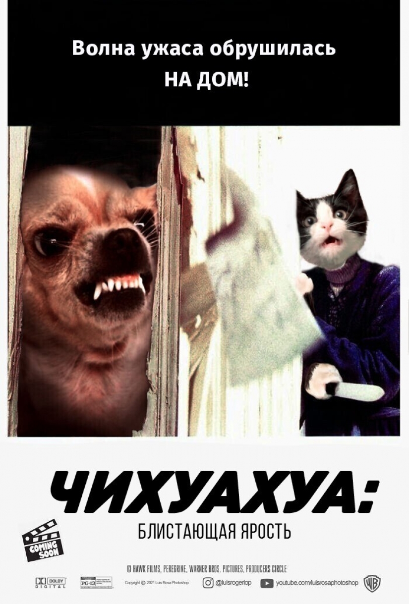 Si los perros y los gatos jugaran en los éxitos de taquilla