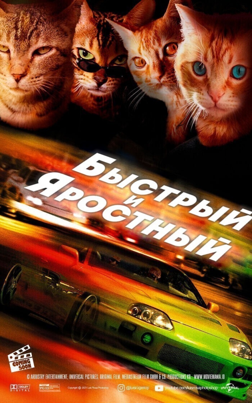 Si los perros y los gatos jugaran en los éxitos de taquilla