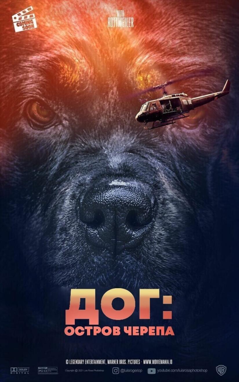 Si los perros y los gatos jugaran en los éxitos de taquilla