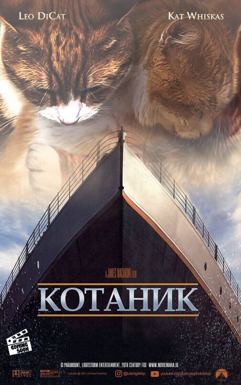 Si los perros y los gatos jugaran en los éxitos de taquilla