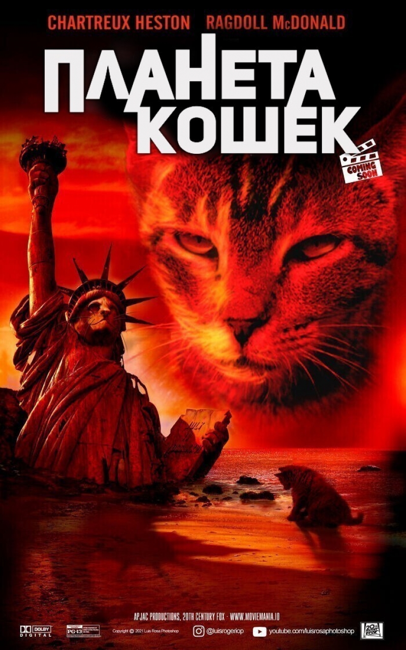 Si los perros y los gatos jugaran en los éxitos de taquilla