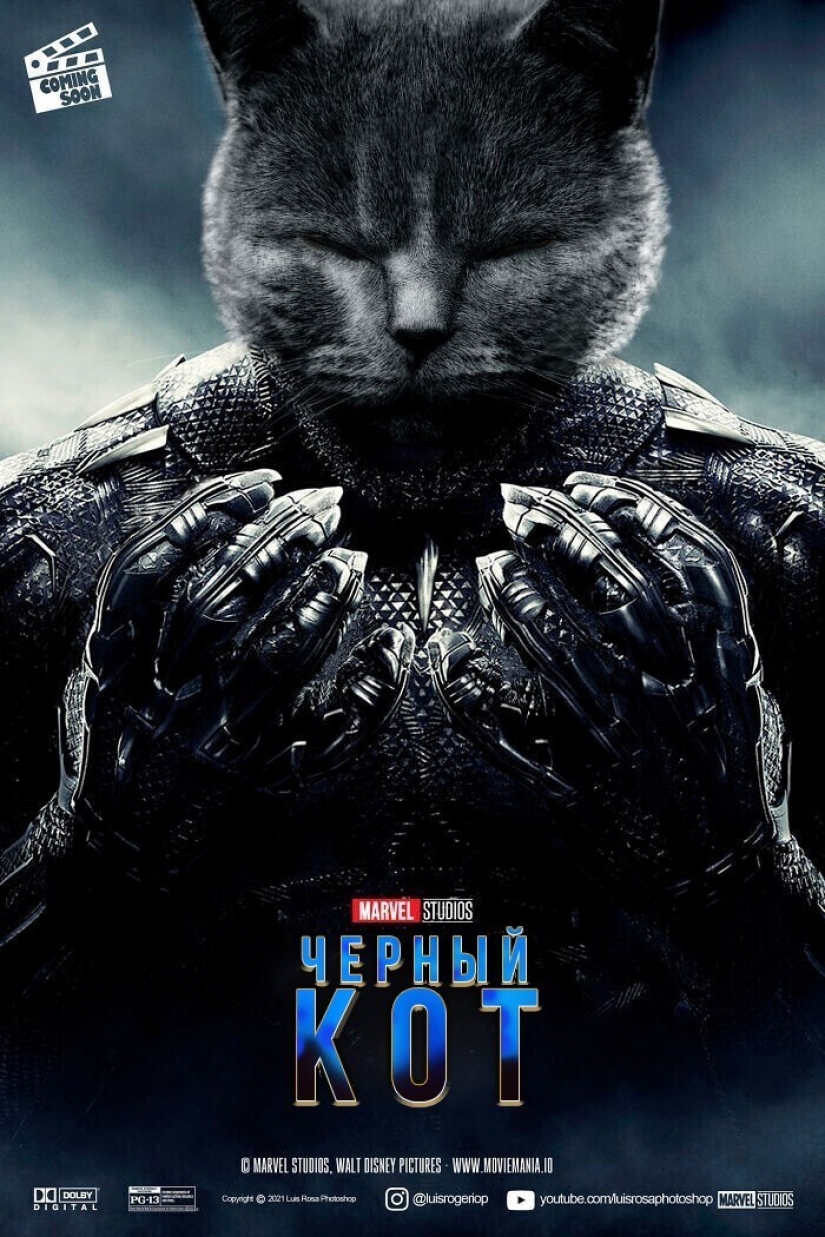 Si los perros y los gatos jugaran en los éxitos de taquilla