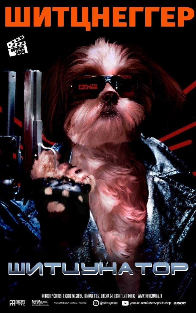 Si los perros y los gatos jugaran en los éxitos de taquilla