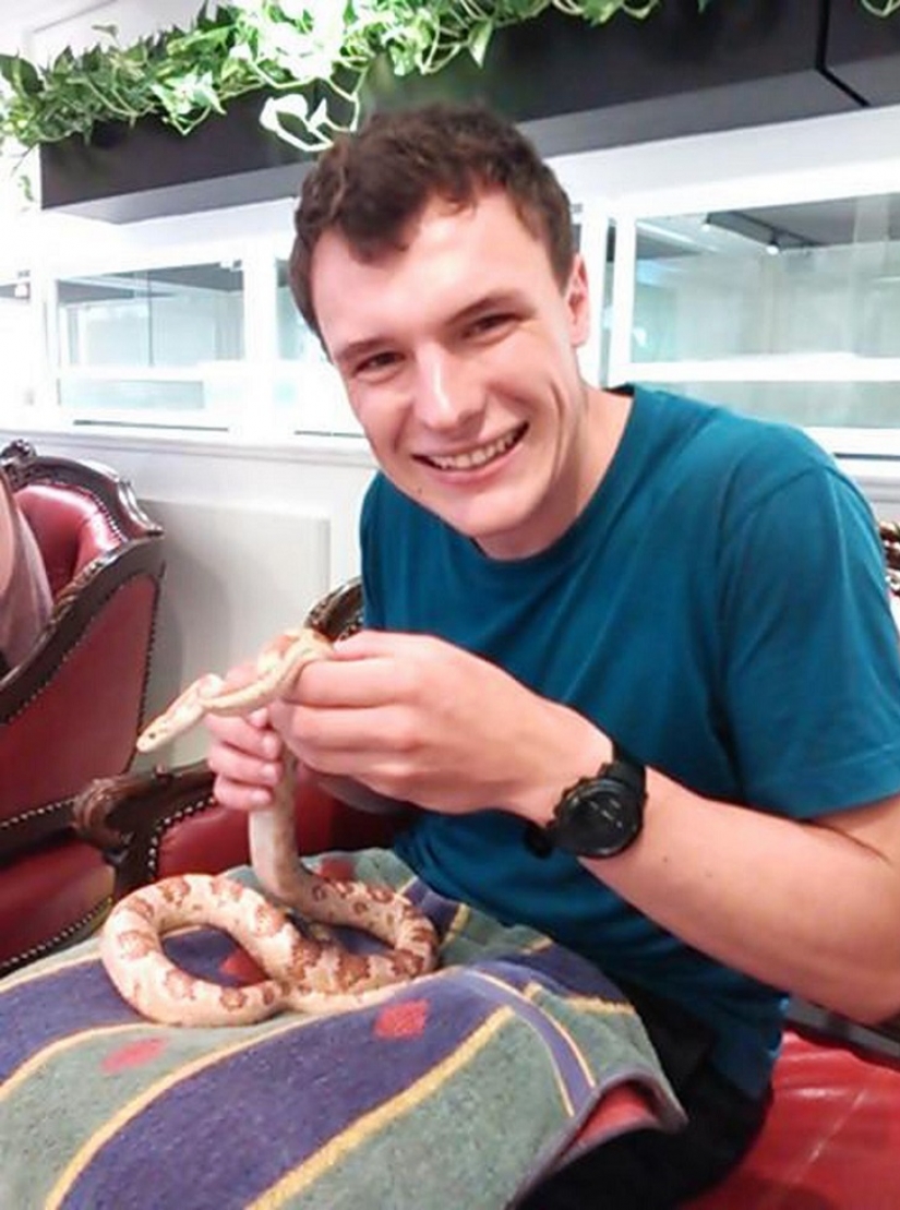 Snake cafe in Japan-is it creepy? Still what!