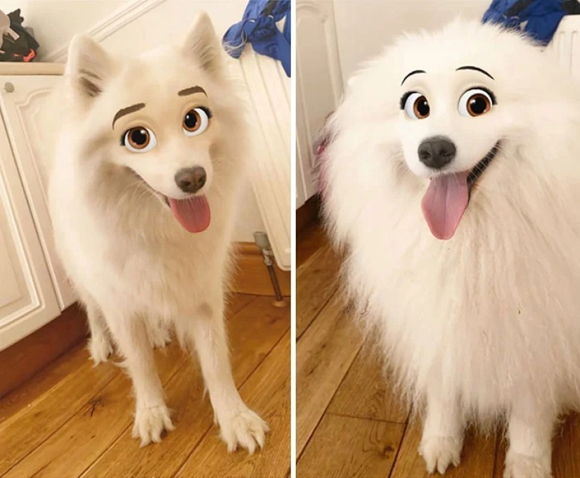 Snapchat ha Añadido un Nuevo Filtro De Cara De Dibujos Animados Que Hace Que Los Perros Se Vean Como Personajes De Disney