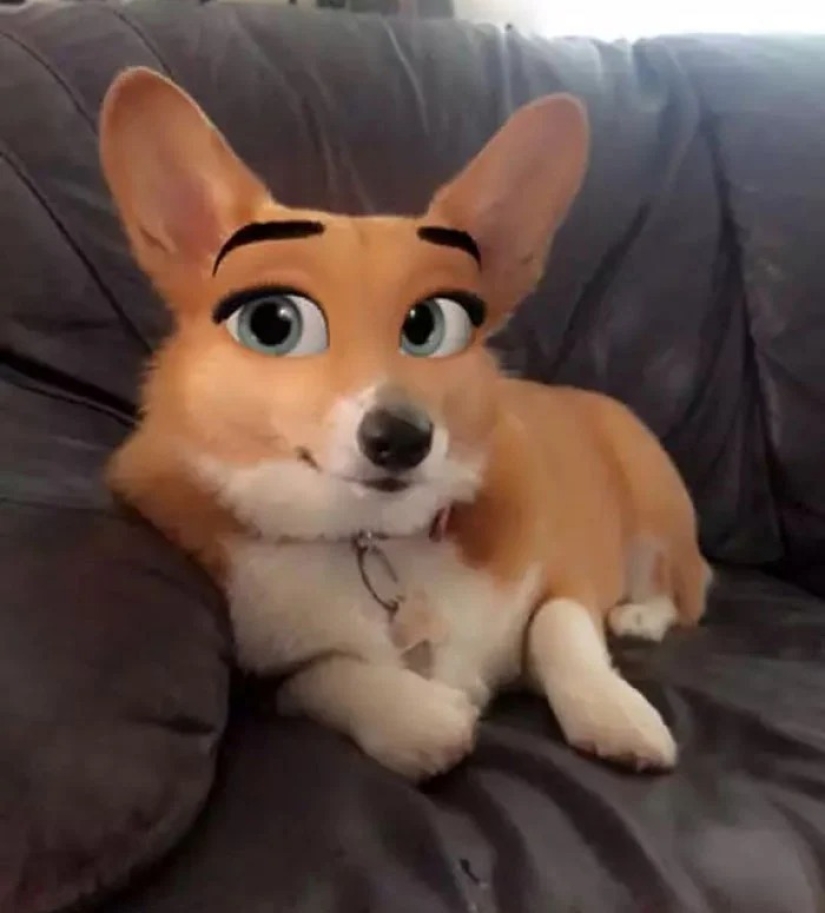 Snapchat ha Añadido un Nuevo Filtro De Cara De Dibujos Animados Que Hace Que Los Perros Se Vean Como Personajes De Disney