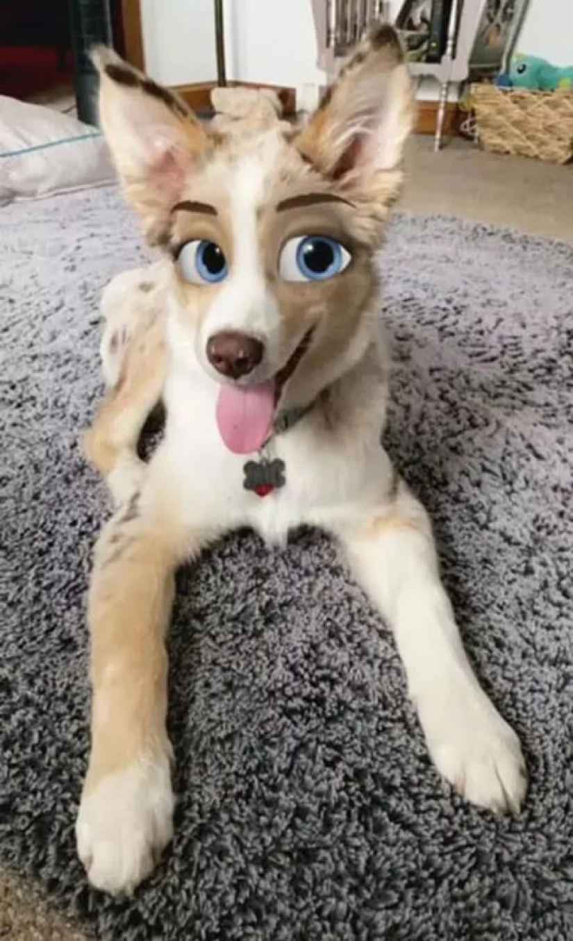 Snapchat ha Añadido un Nuevo Filtro De Cara De Dibujos Animados Que Hace Que Los Perros Se Vean Como Personajes De Disney