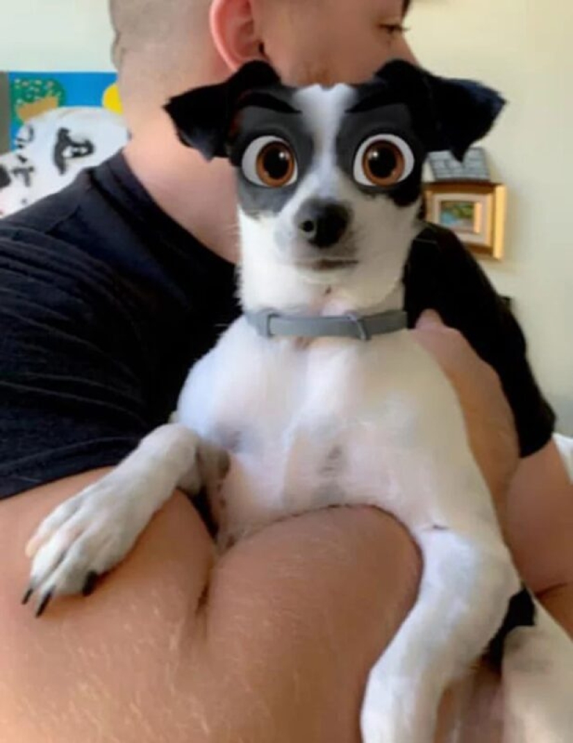 Snapchat ha Añadido un Nuevo Filtro De Cara De Dibujos Animados Que Hace Que Los Perros Se Vean Como Personajes De Disney