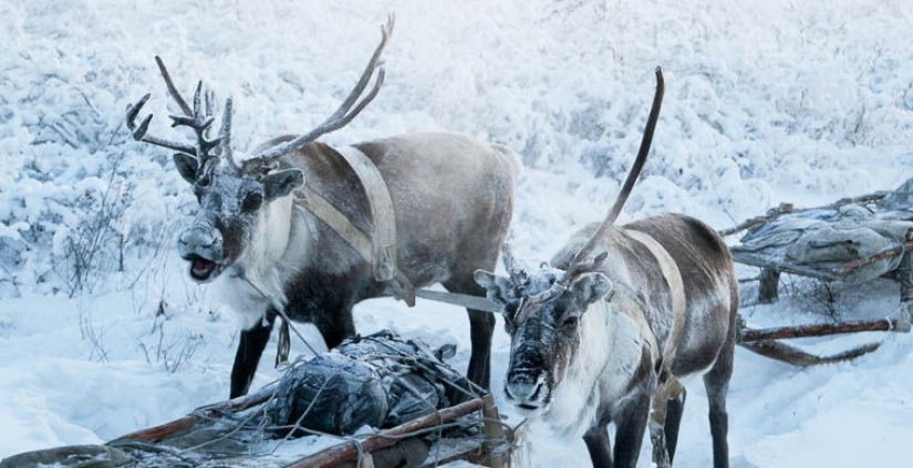 Some, but not then: the most famous fake attractions