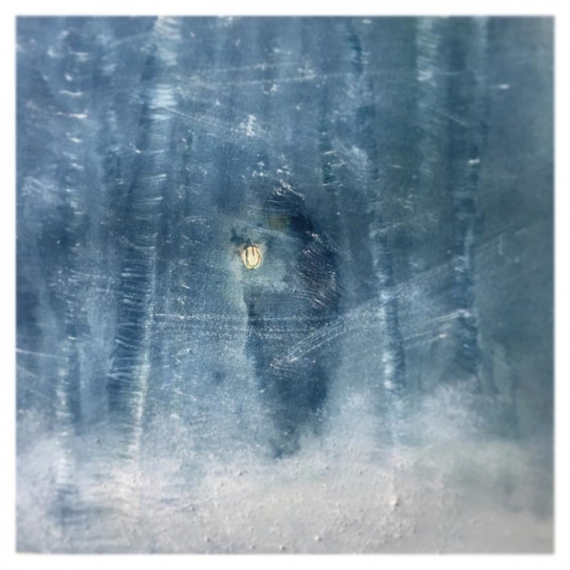 Soulful illustrations Anastasia Grinenko