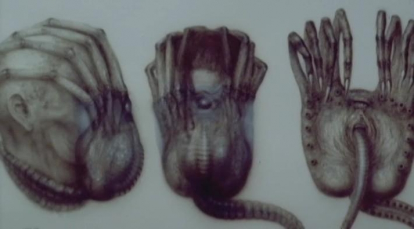 Special effects in cinema: space horror in the movie "Alien"