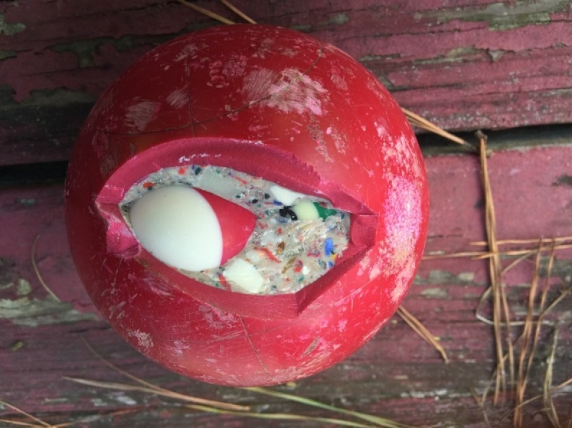 Startling surprises hidden inside everyday things