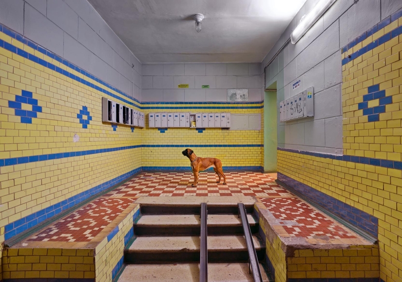 Strong and sincere: what Russia looks like in the lens of a German photographer Strong and sincere: what Russia looks like in the lens of a German photographer