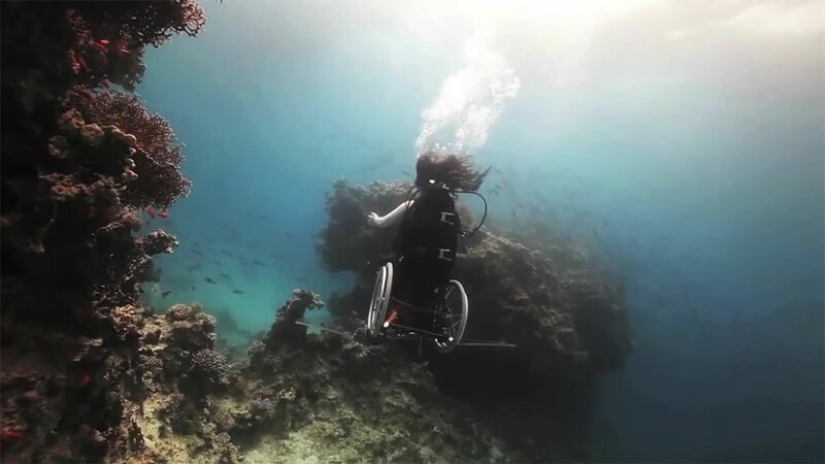 Sueños hechos realidad: cómo implementar el buceo en silla de ruedas