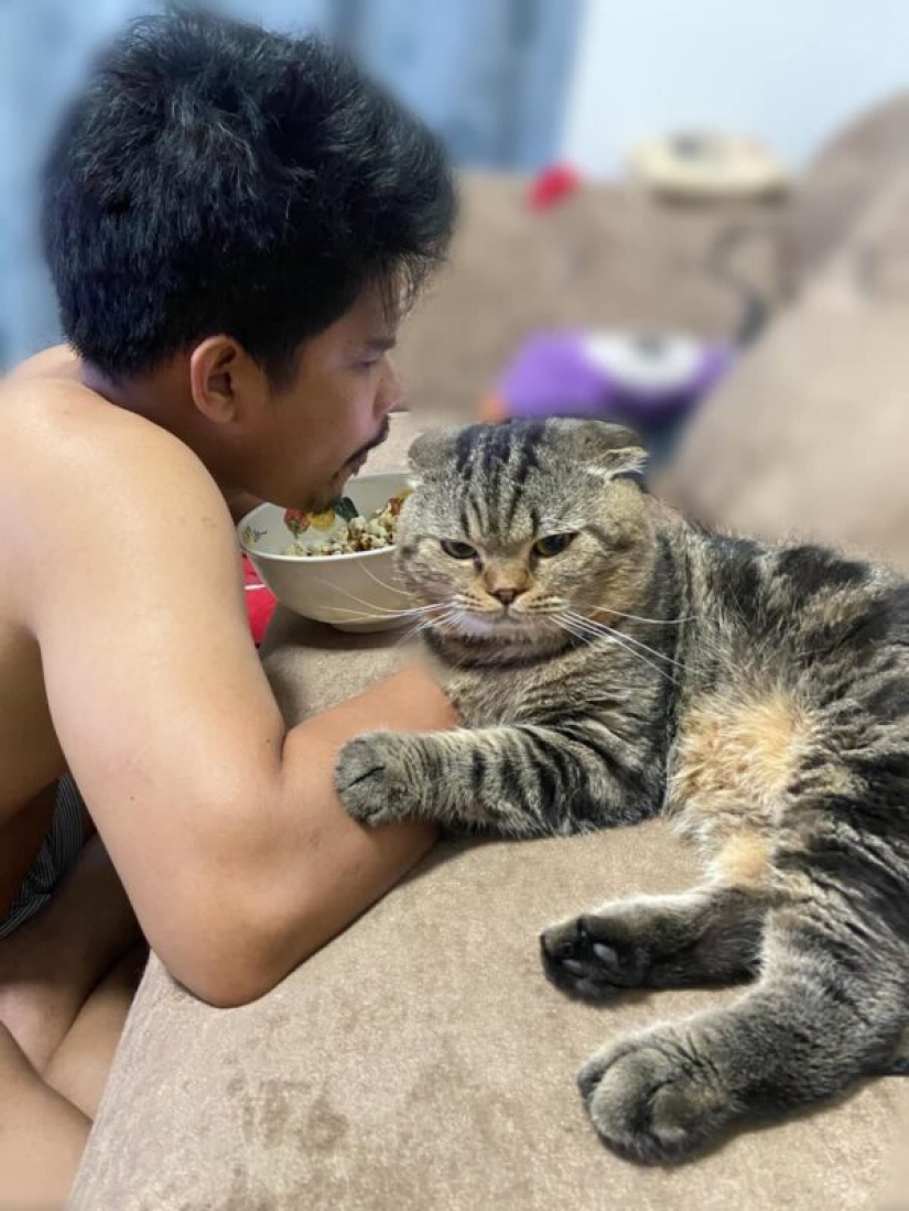 Surprisingly charming cat "stole" from the wife of her husband and she showed it in the photo