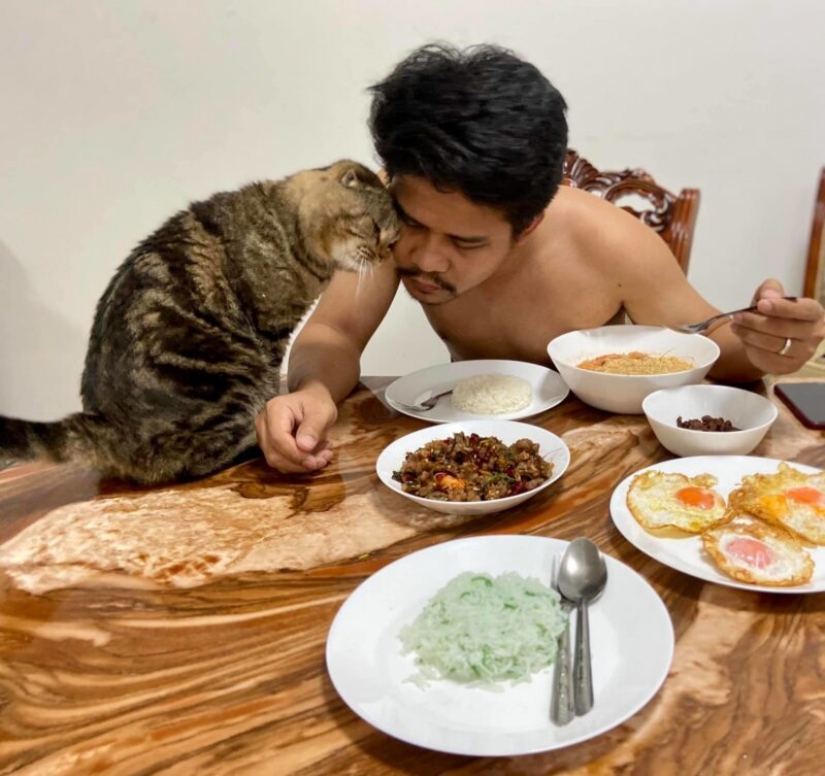 Surprisingly charming cat "stole" from the wife of her husband and she showed it in the photo