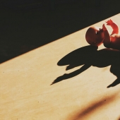 Survivors: 10 real stories of children born after an abortion attempt