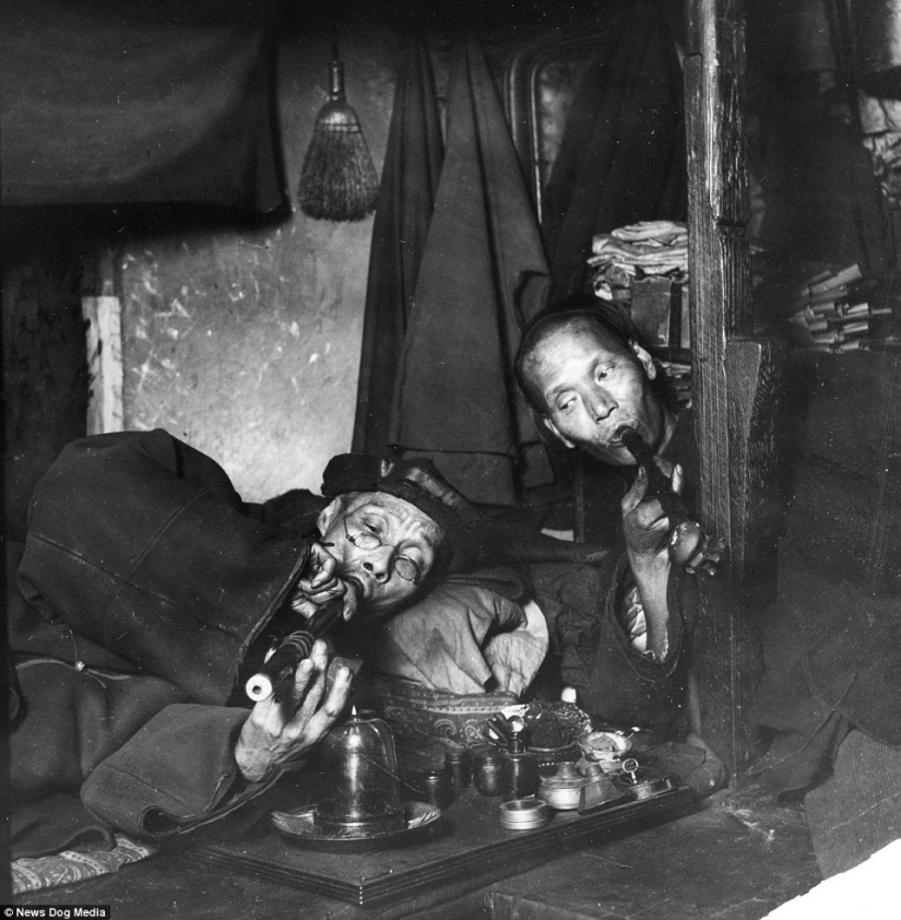 Sweet datura: photos of opium dens in the USA of the XX century Sweet datura: photos of opium dens in the USA of the XX century